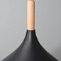 Подвесной светильник Arte Lamp KAYLA A7101SP-1BK — фото 3