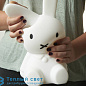 MIFFY ночник Mr Maria MRDB30MF01