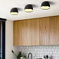 BRIM01 Imperiumloft Djembé накладной светильник 8W — фото 6