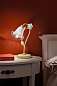 Siena Керамическая прикроватная лампа с фиксированным кронштейном FERROLUCE C1189