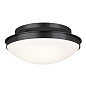 Bretta 17.75" 3 Light Flush Mount Black потолочный светильник 52545BK Kichler — фото 6