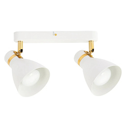 A5047PL-2WH Arte Lamp FAFNIR спот с белым плафоном E27