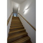 1000634 SLV ASSO 300 WL white 2000-3000K настенный светильник — фото 4
