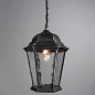 Уличный подвесной светильник Arte Lamp GENOVA A1205SO-1BS — фото 1