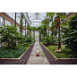The Muse Tala Портативный светильник красный FB-MUSE-PBL-PR-01 — фото 14