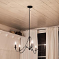 Freesia 5 Light Chandelier Textured Black люстра 52455BKT Kichler