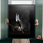 A2187AP-1GO Arte Lamp Darcy настенный светильник LED 1х7W 500Lm 4000K — фото 2