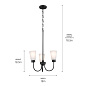 Erma 18" 3 Light Chandelier Black люстра 52442BK Kichler — фото 8