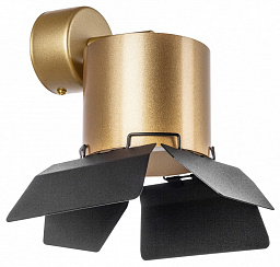 RBX3490487 Lightstar Rullo потолочный светильник золотой с лепестковыми элементами