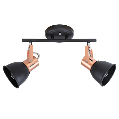 Спот Arte Lamp JOVI A1677PL-2BK