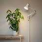Торшер Anglepoise Original 1227 Льняной белый 31646 — фото 4