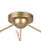 FR5049CL-36G Freya Florencia Потолочный светильник 3W лм Золото — фото 6