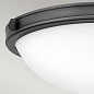 Потолочный светильник Collier Hinkely HK-COLLIER-F-S-BX черный оксид — фото 1