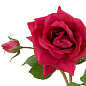 Искусственное растение Roses Eichholtz 119283 — фото 4