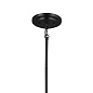 Ali 20" 4 Light Chandelier Black люстра 52504BK Kichler — фото 9
