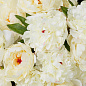 Искусственное растение Peonies Eichholtz 119279 — фото 2