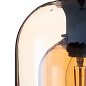 A7015SP-1BK Arte Lamp Paio подвесной светильник E14 1х60W — фото 2