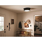 Serca 18" 3 Light Flush Mount Black потолочный светильник 52541BK Kichler — фото 3