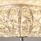 DIA902-04-N Maytoni Broche Люстра 60W Никель — фото 7