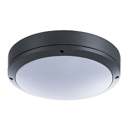 A8154PF-2GY Arte Lamp City уличный потолочный светильник E27 2х60W 800Lm