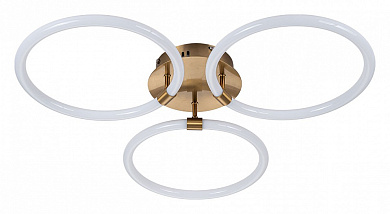 потолочный светильник с кольцевыми элементами