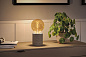 29248 Paulmann LED Globe 300 лм 4,2 Вт 1800 К с регулировкой яркости, золото — фото 3