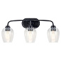 Valserrano 24" 3 Light Vanity Light Clear Seeded Glass Black настенный светильник 45129BKCS Kichler — фото 1