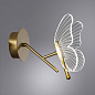 A2187AP-1GO Arte Lamp Darcy настенный светильник LED 1х7W 500Lm 4000K — фото 1