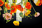 FLOWER POWER NEW POPPY ROUND Светодиодный потолочный светильник из муранского стекла VGnewtrend — фото 3