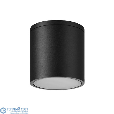 уличный потолочный светильник цилиндрического корпуса в чёрном матовом исполнении