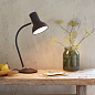 33027 Type 75 Anglepoise настольная лампа — фото 16