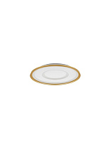 Dimmable by Remote Control CCT Sandy Gold Steel, Aluminium & Acrylic LED 40 Watt 220-240Volt 2244Lm 2700 - 5000K IP20 D: 50 H: 6.5 cm