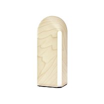 Igloo Medium LED