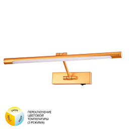 A1709AP-1GO Arte Lamp Harrison подсветка для картин LED 1х9W 540Lm 4000K
