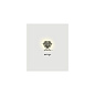 Slamp FIORELLA Подвесной светильник мини FIOSS00GLD01T00000EU — фото 1