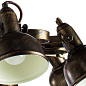 Потолочная люстра Arte Lamp MARTIN A5216PL-8BR — фото 2