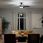 52" Renew Select Fan Satin Black люстра-вентилятор 330161SBK Kichler — фото 1