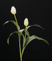 1001457.95 VGnewtrend Tulip Искусственное растение
