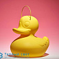 DUCK DUCK внешнее световое оформление Goodnight Light GNL010