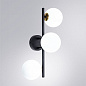 A2243PL-3BK Arte Lamp Gemini бра 33W — фото 1
