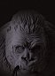 Настенный светильник Karman Ugo Rilla AP152 — фото 7