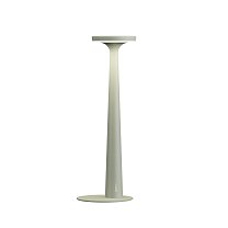Papiria CT320AVINT, шалфейный зелёный