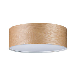 Neordic-Ceiling Paulmann Neordic Потолочный светильник