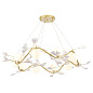 Люстра Crystal Lux COLIBRI SP10 GOLD — фото 3