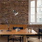 Настольная лампа Anglepoise Original 1227 Яркий хром 30895 — фото 3
