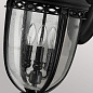 Настенный уличный светильник English Bridle Feiss FE-EB2-L-BLK черный — фото 3