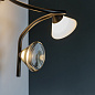 E565.45C24SWC Tooy Linfa AP PL LED 5L настенный и потолочный светильник с LED белый; прозрачный; золото; дымчатый — фото 2