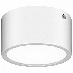 380164 Lightstar Zolla cyl led-rd уличный накладной светильник цилиндрической формы белый