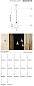 SE1236FEXT MAKEUP Karman уличный светильник — фото 10