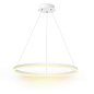 RING 36 Led Technology подвесной светильник — фото 2